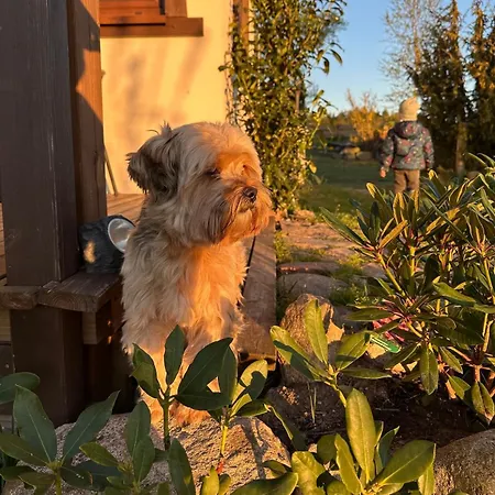 Cozy In Kashubia